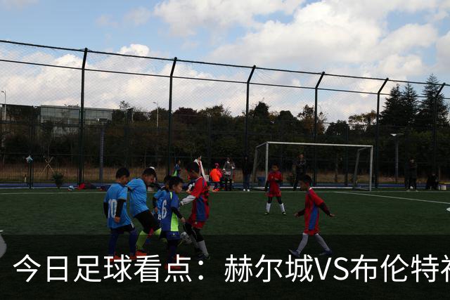 今日足球看点：赫尔城VS布伦特福德，水晶宫VS纽卡斯尔联，曼联VS伯恩茅斯，桑德兰VS利兹联