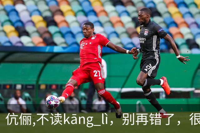 伉俪,不读kāng lì，别再错了，很丢人!