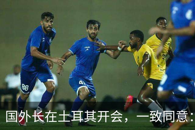 国外长在土耳其开会，一致同意：立即停战！