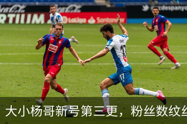 大小杨哥新号第三更，粉丝数纹丝不动