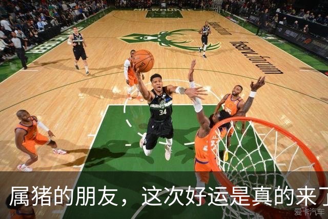 属猪的朋友，这次好运是真的来了