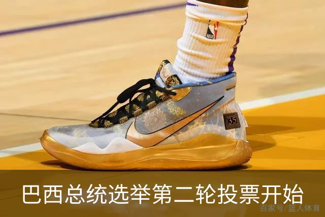 巴西总统选举第二轮投票开始