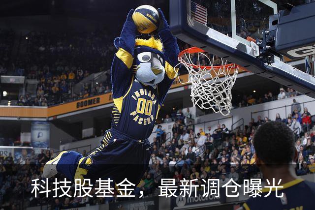 科技股基金，最新调仓曝光
