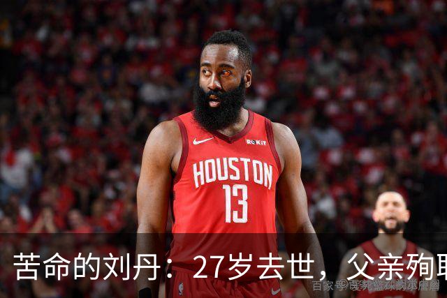 苦命的刘丹：27岁去世，父亲殉职，哥哥离世，萧剑为他扫墓21年